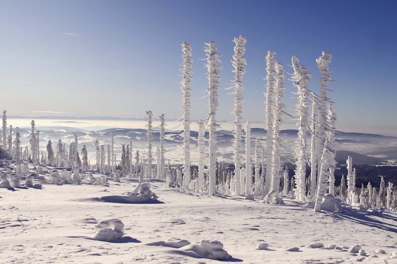 Winter Wonderland